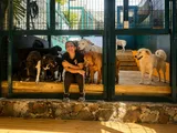 Garde d’Animaux, Promenade de Chiens & Toilettage – Stefy’s Pet Sitting