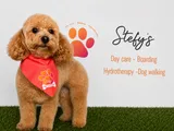 Garde d’Animaux, Promenade de Chiens & Toilettage – Stefy’s Pet Sitting