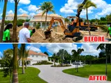 Caribbean Palms – Paisajismo Profesional, Palmeras y Plantas Sint Maarten