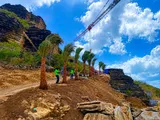 Caribbean Palms – Paisajismo Profesional, Palmeras y Plantas Sint Maarten