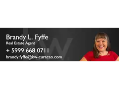 Real Estate Agent