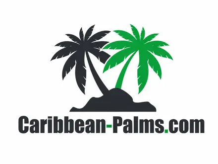 Caribbean Palms – Paysagisme Professionnel, Palmiers et Plantes Sint Maarten