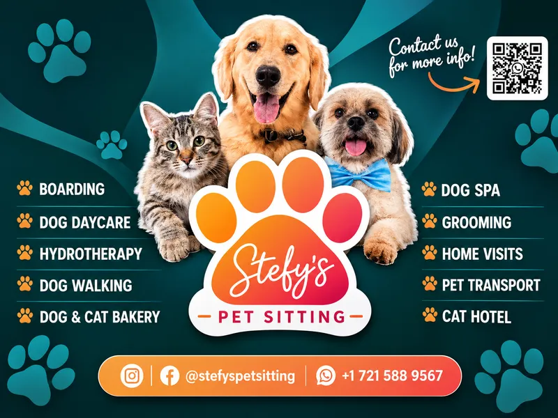 Garde d’Animaux, Promenade de Chiens & Toilettage – Stefy’s Pet Sitting