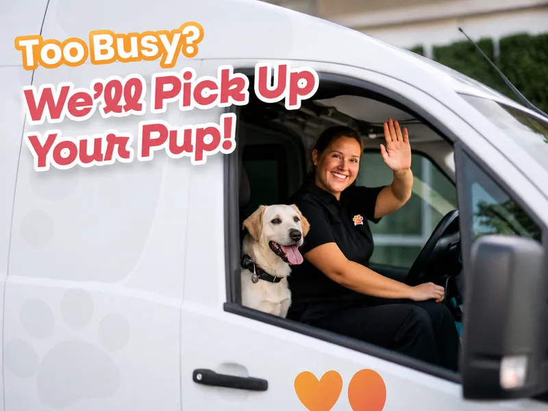 Garde d’Animaux, Promenade de Chiens & Toilettage – Stefy’s Pet Sitting
