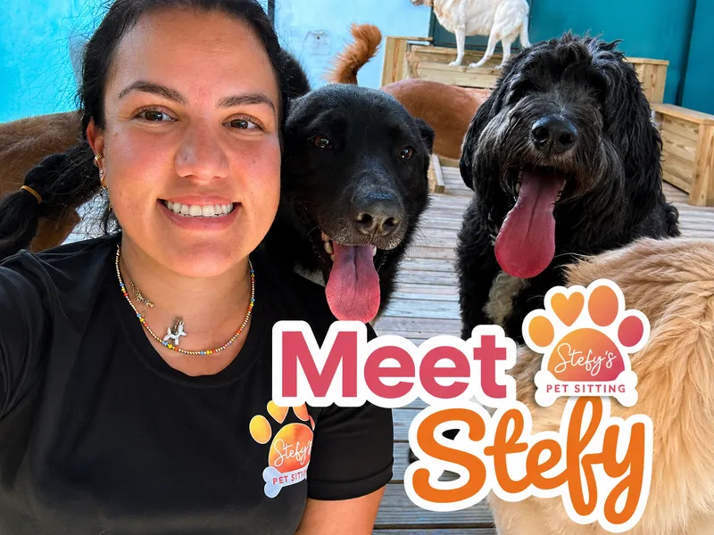Garde d’Animaux, Promenade de Chiens & Toilettage – Stefy’s Pet Sitting
