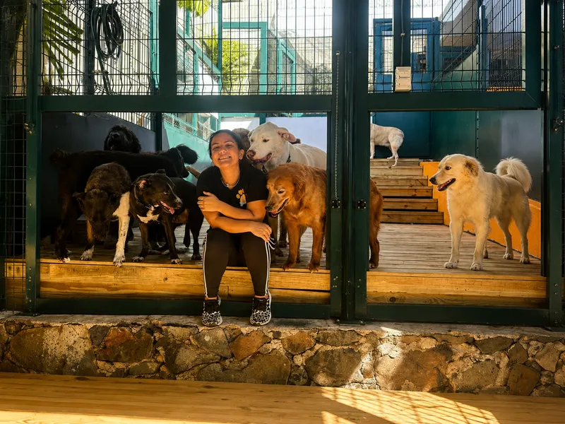 Garde d’Animaux, Promenade de Chiens & Toilettage – Stefy’s Pet Sitting