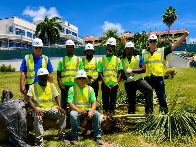 Caribbean Palms – Paisajismo Profesional, Palmeras y Plantas Sint Maarten